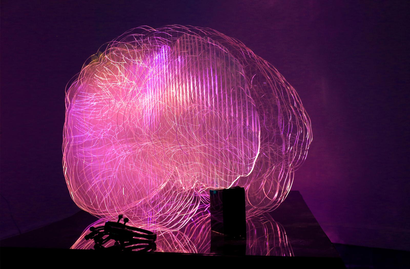 Laura Jade - Brain Neuroscience Light Art Pink