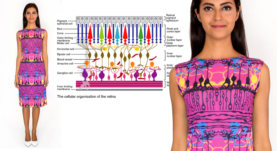 neuroscience fashion retinal neuron dress