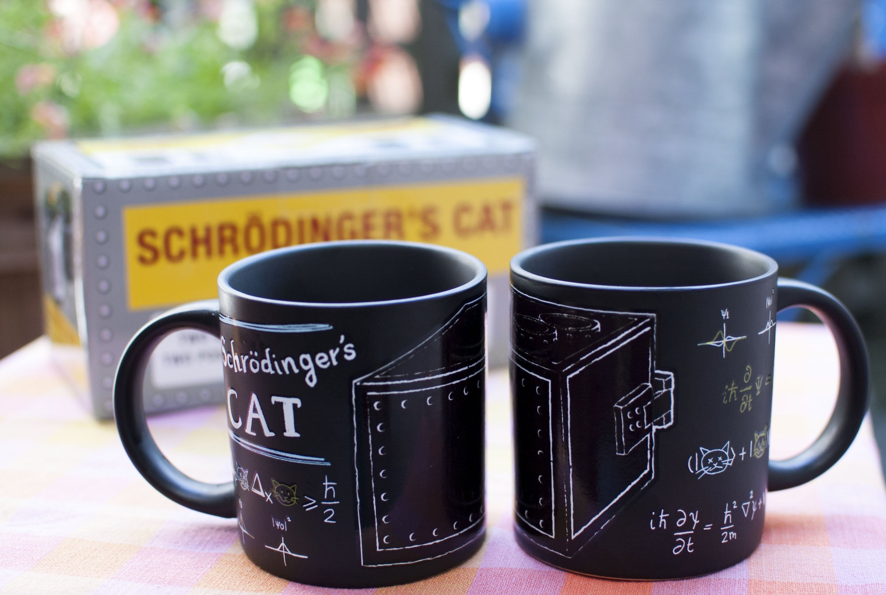 Schrodingers Cat Mug
