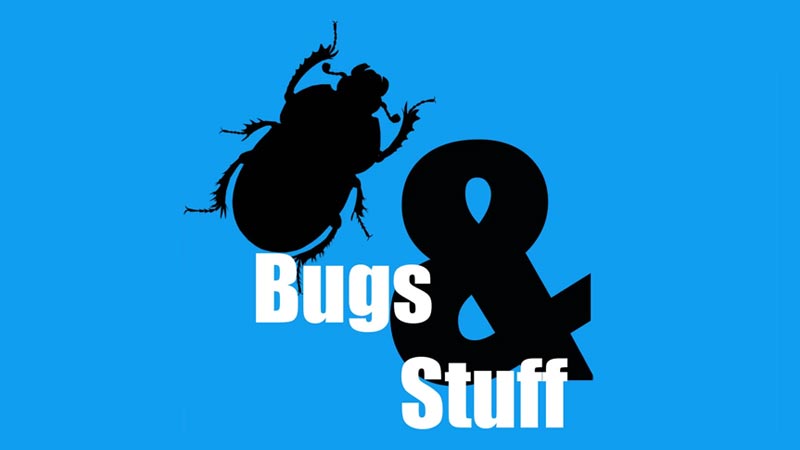 Bugs and Stuff Science Podcast