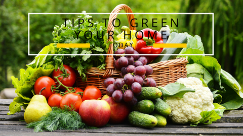 Tips to make your home eco-friendly