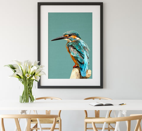 Kingfisher Framed Linen Art Print