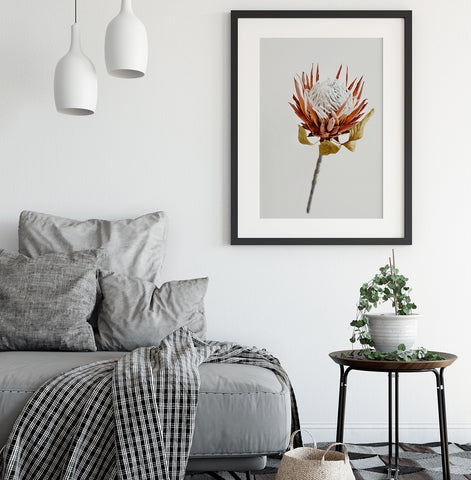 Protea art print canvas wall art