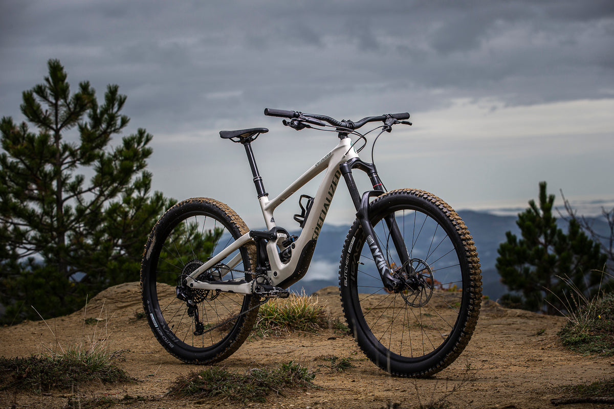 specialized enduro elite carbon 2020