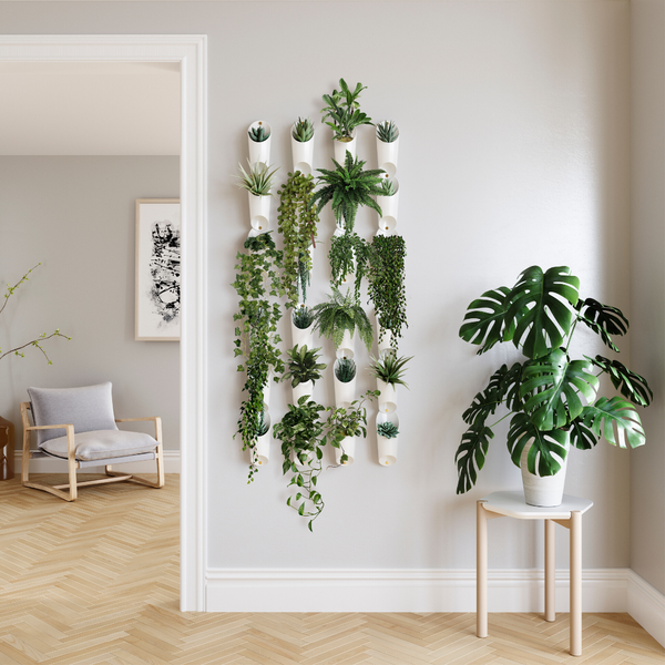 wall planter, indoor planters, planter, planters