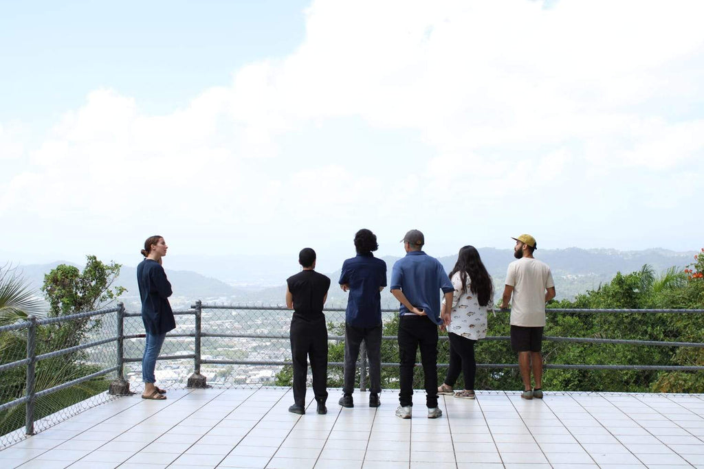 bee sanctuary lookout in puerto rico