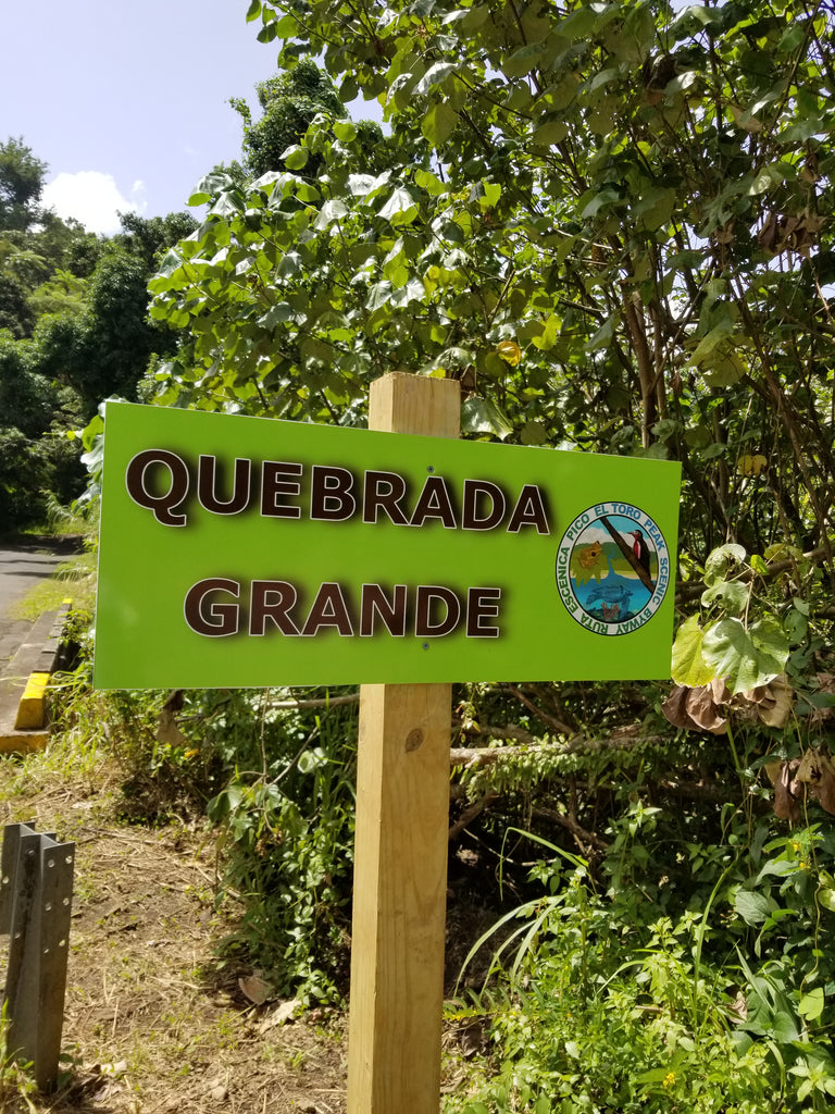 quebrada grande