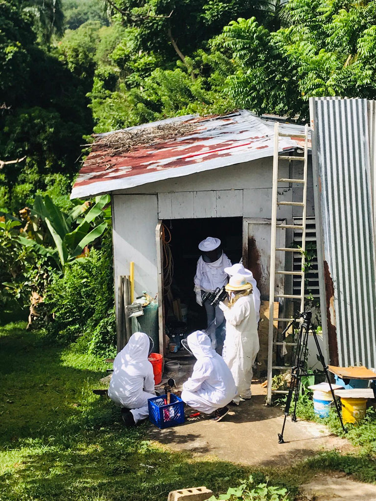 bee rescue rio grande childrens school