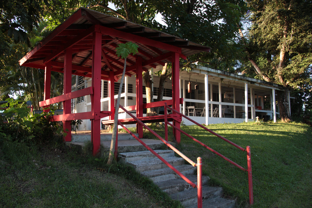 zen temple santuary for bees