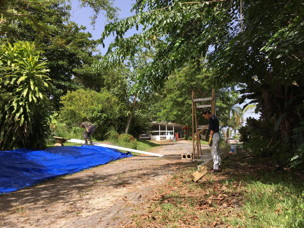 building zen garden at centro zen 