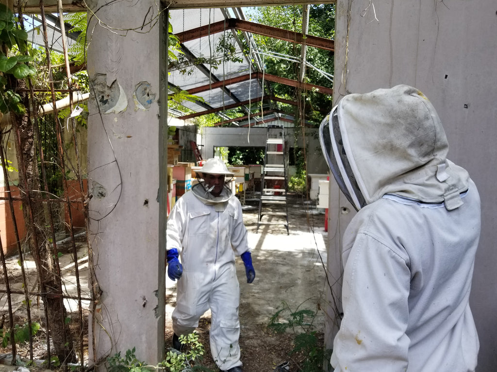 gadeel at the fajardo bee school