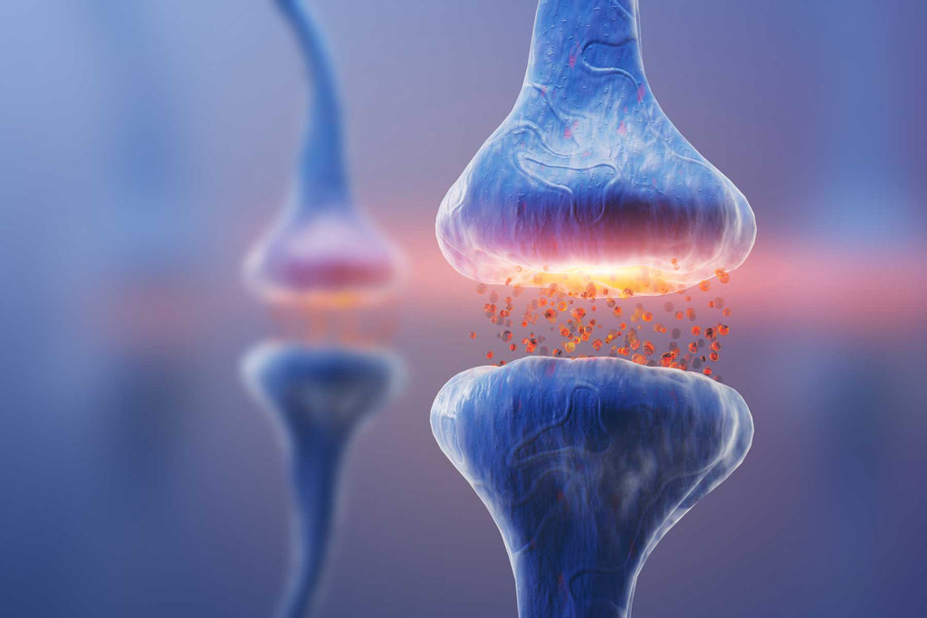 Digital rendering of neurotransmitters sharing information with a receptor.