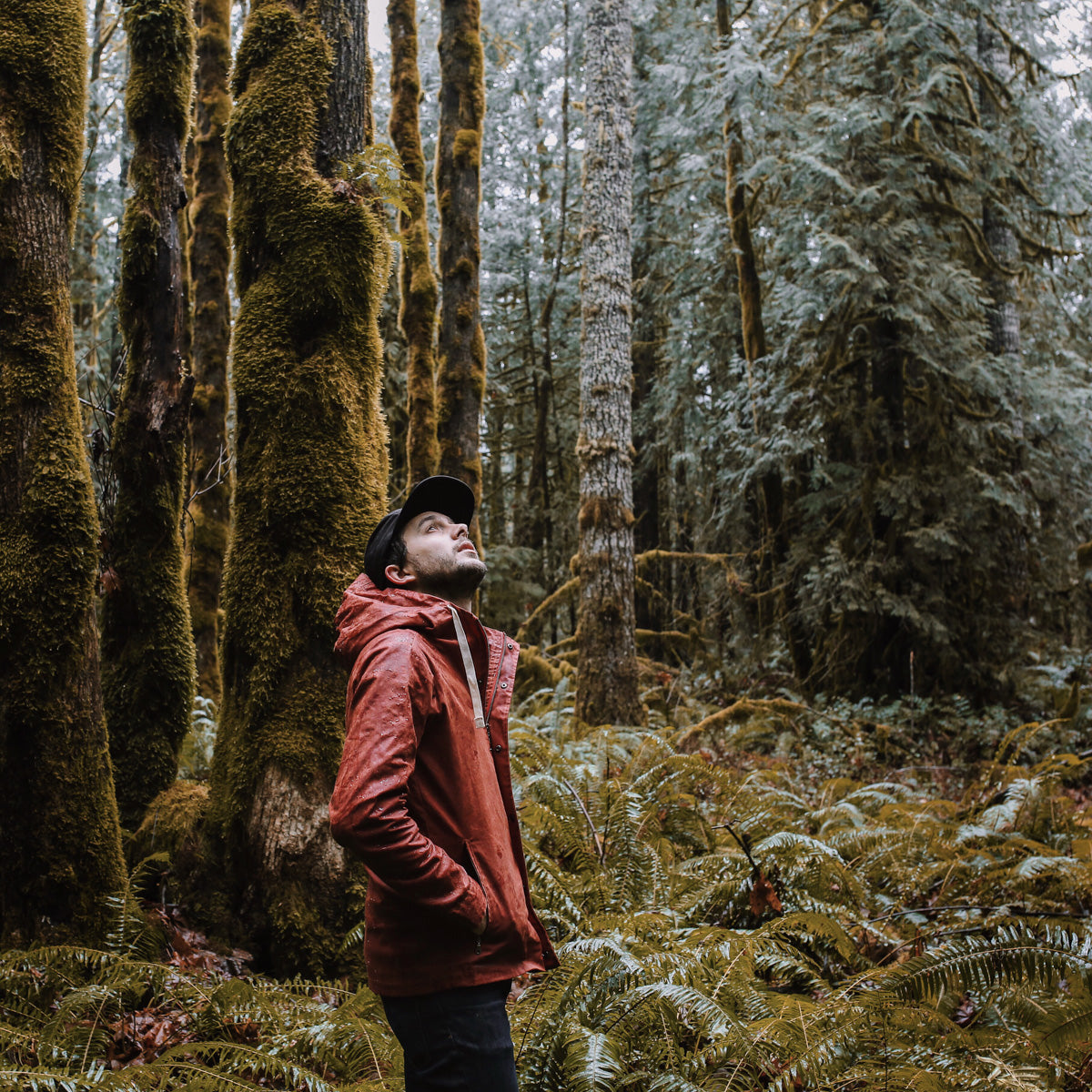 Oregon Forest Bridge & Burn