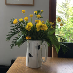 buttercups in a blue tit bone china jug by Sandra Vick