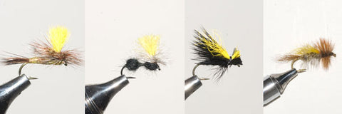 Mr. Rapidan Flies