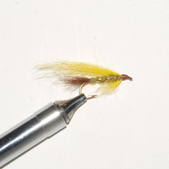 Mr. Rapidan Streamer