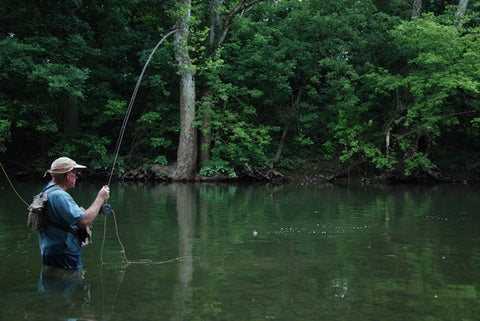 Smallmouth Bass Fly Fishing