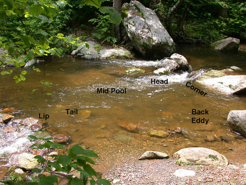Reading a Mountain Trout Stream