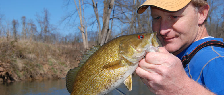 Catching Smallmouth Bass Around Aquatic Grassbeds