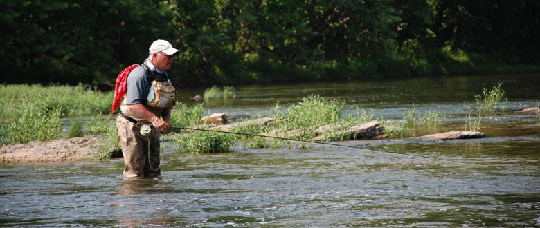Fly Fishing on the Shenandoah River around Aquatic Grassbeds