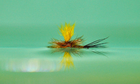 Mr. Rapidan Parachute Dry Fly during floatant test