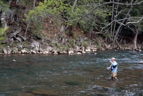 Fishing minnows on Big Stoney Creek
