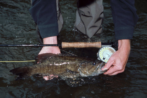 Smallmouth Bass on the Shenandoah River