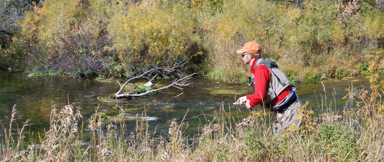 Trico Fishing on a western trout stream