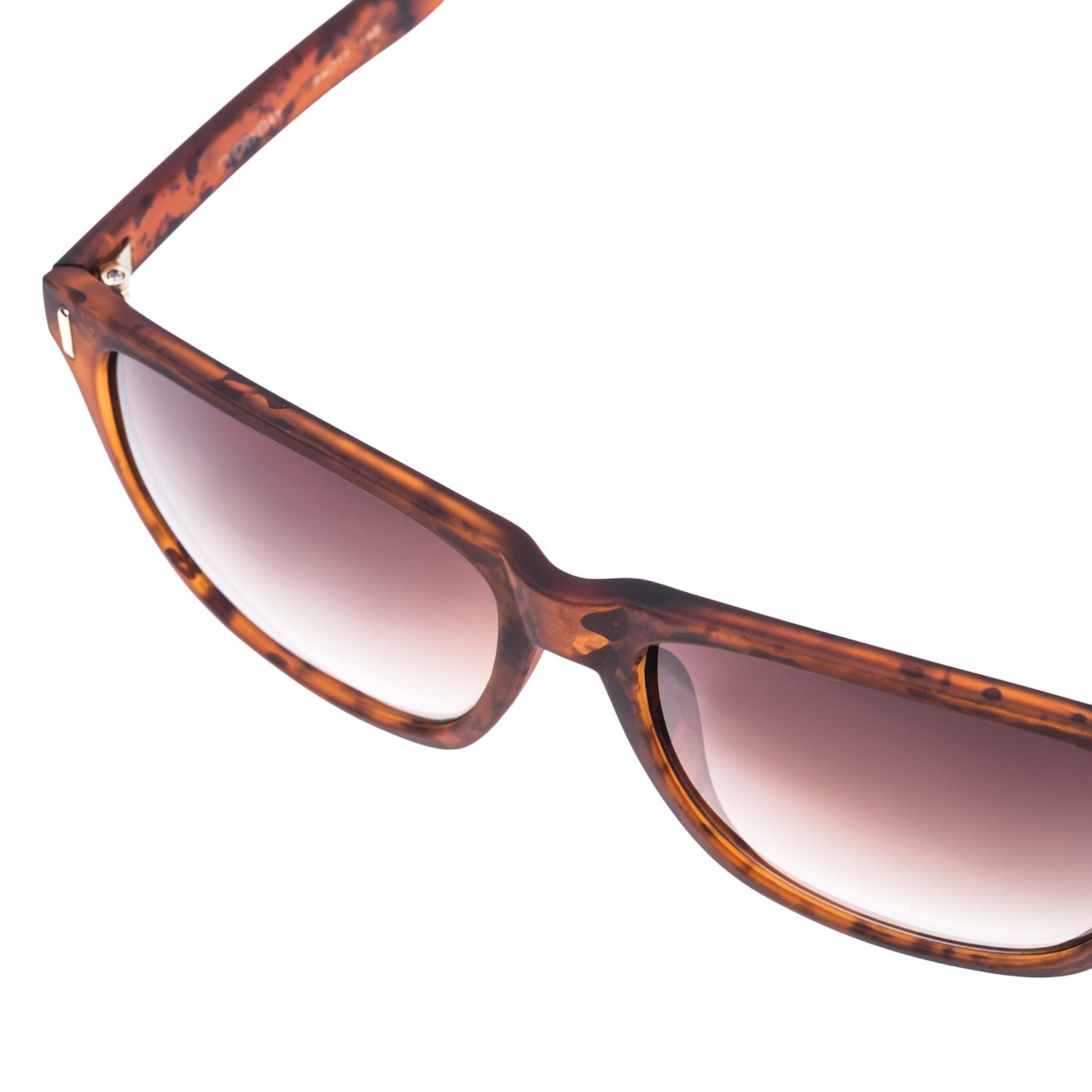 EVERYDAY - Dark Turtle Rubber/ Brown Gradient