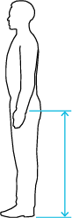 Diagram showing proper cane sizing