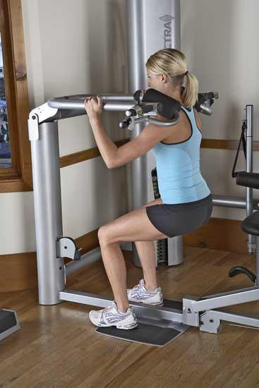 Vectra Fitness On-Line 1450 Home Gym