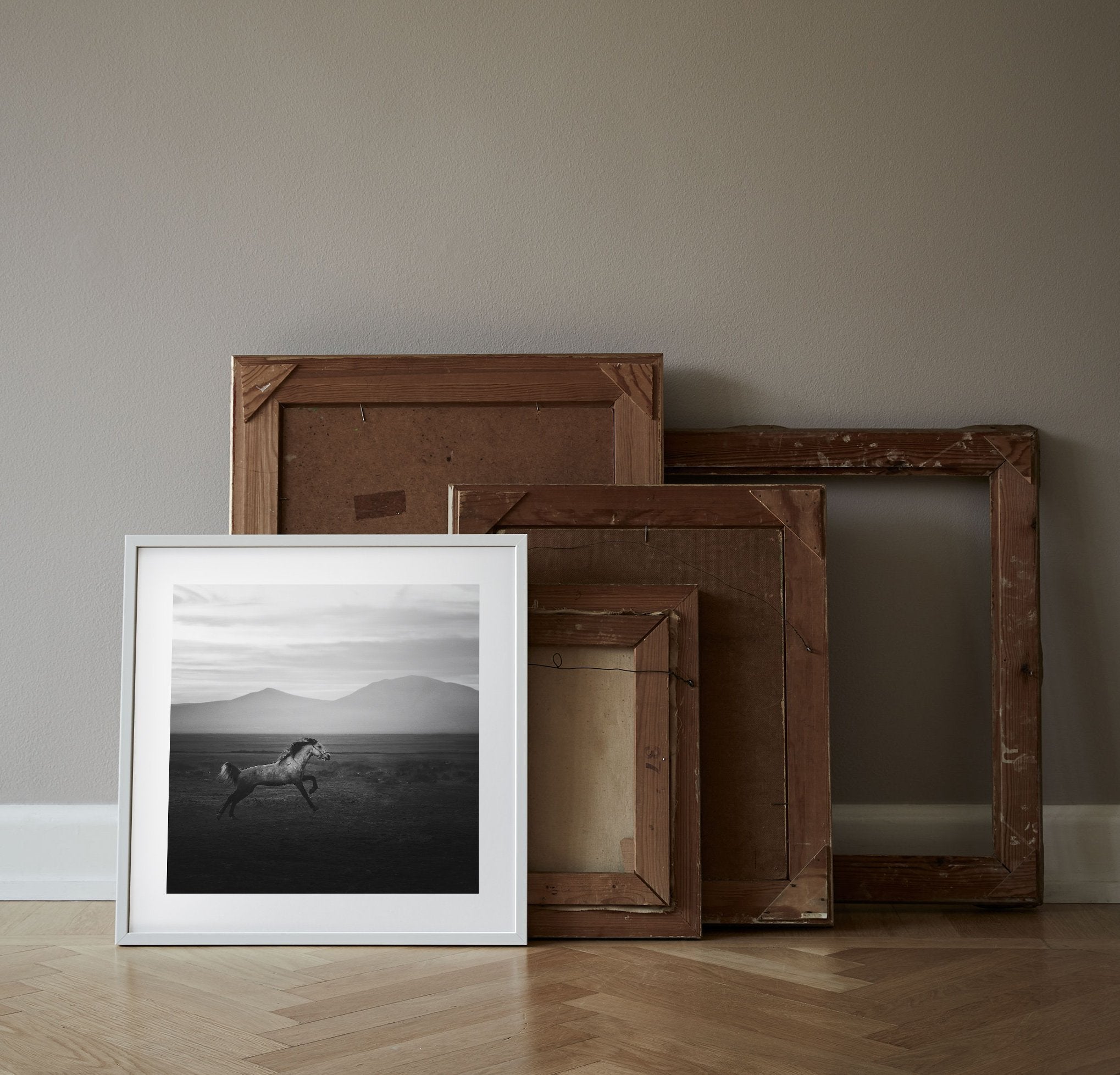 Poster Wild Horse