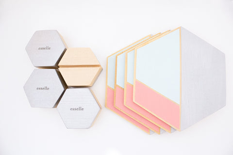 hexagon hand painted coaster 