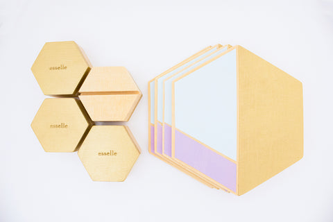 esselle hexagon hand painted coaster