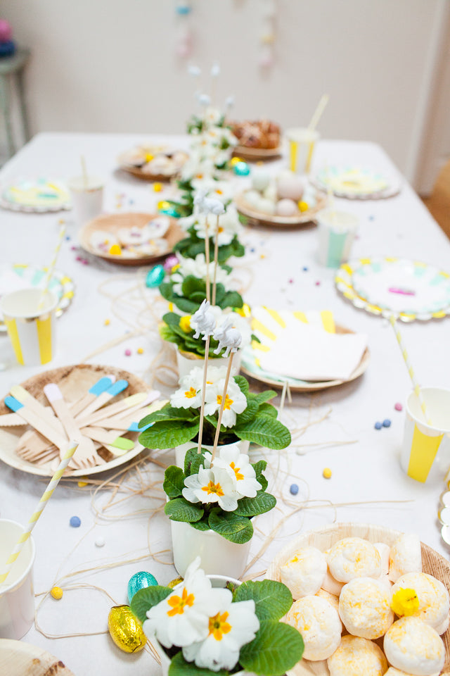 Spring pastel Party
