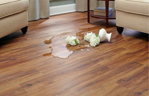 Spills on Hardwood Floors!