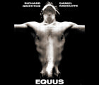 Equus Tee Shirt Poster Design