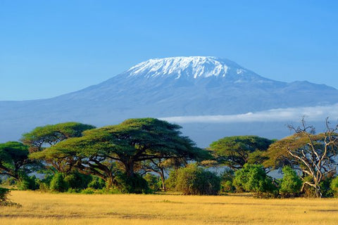 (Kilimanjaro – Trekkinghero.com)