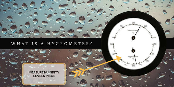 what is a hygrometer