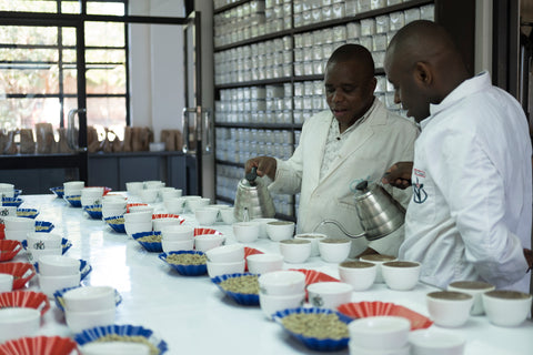 Cupping Kenyan coffees Nairobi