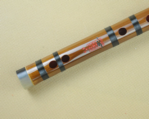 Buy Concert Grade Bitter Bamboo Flute Chinese Dizi Instrument with Accessories 2 Sections