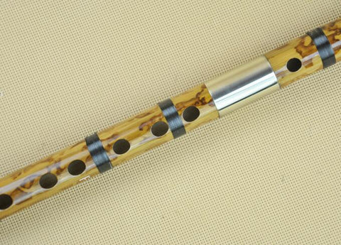 Buy Professional Chinese Bitter Bamboo Flute Dizi Instrument with Accessories 2 Sections