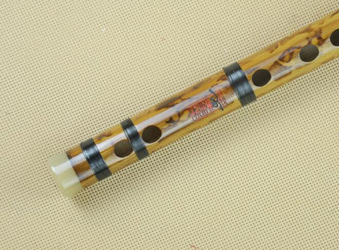 Buy Professional Chinese Bitter Bamboo Flute Dizi Instrument with Accessories 2 Sections