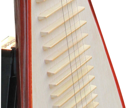 専業級紅檀製琵琶楽器中国リュートアクセサリー付販売
