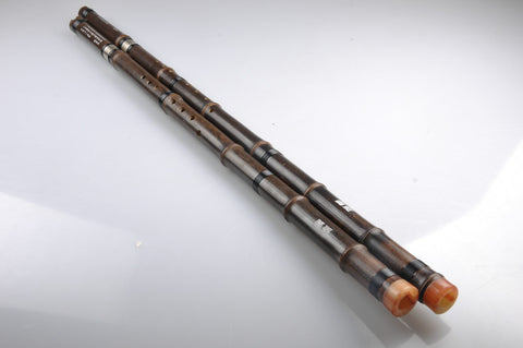 Study Level Purple Bamboo Flute Xiao Instrument Chinese Shakuhachi 2 Sections