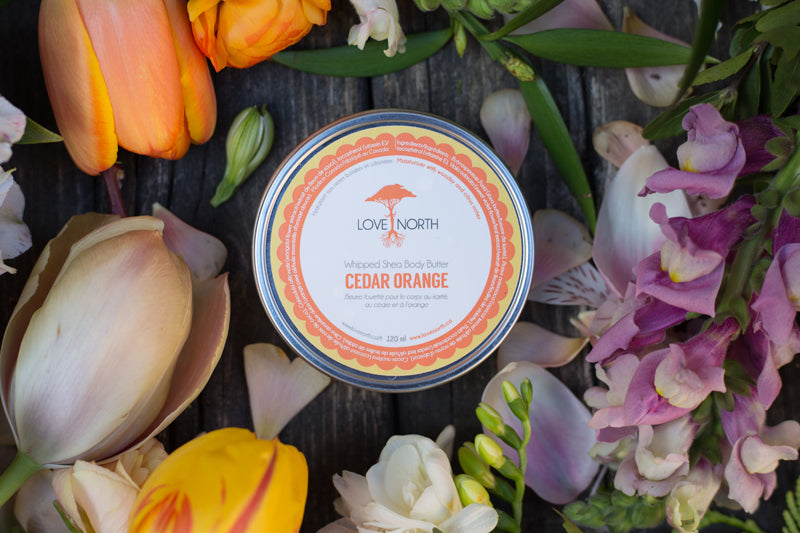 Cedar Orange body butter by Love North Muskoka