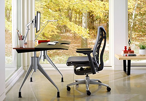 Herman Miller Embody Chair Ergoport