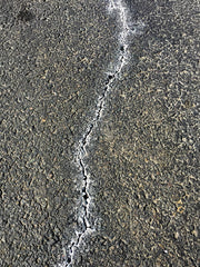 White Stains on Asphalt