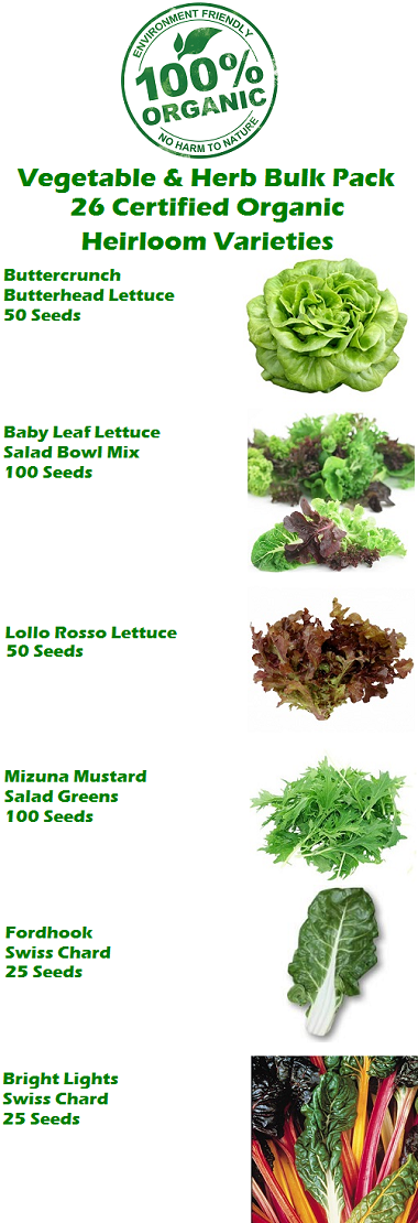 Vegetable_Pack_Page_1_-_380_6adcf792-ef28-4329-aaa3-246ae48afb79.png?3415062401033749725