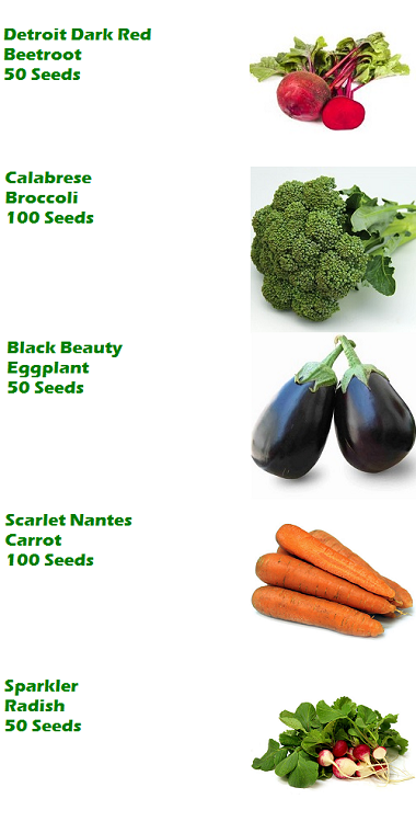 Vegetable_Pack_Page_2_-_380.png?4974